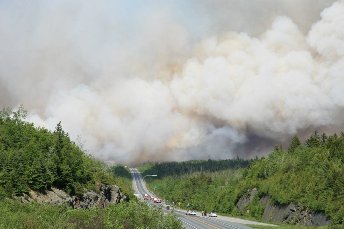 Intervention d'urgence en cas de feux de forêt