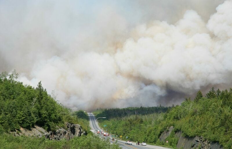 Intervention d'urgence en cas de feux de forêt