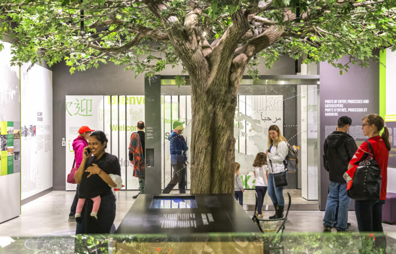 Des visiteurs du musée se promènent et explorent l’exposition sur l’histoire de l’immigration canadienne. Un arbre est au centre de la pièce et des panneaux d’exposition sont disposés le long des murs.