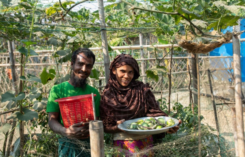 Bangladesh. Vertical gardening changing the landscape of Rohingya camp