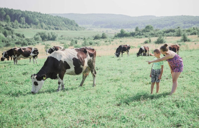 Améliorer la compétitivité et soutenir les familles d'entreprises touchées par le conflit dans l'est de l'Ukraine dans le secteur laitier